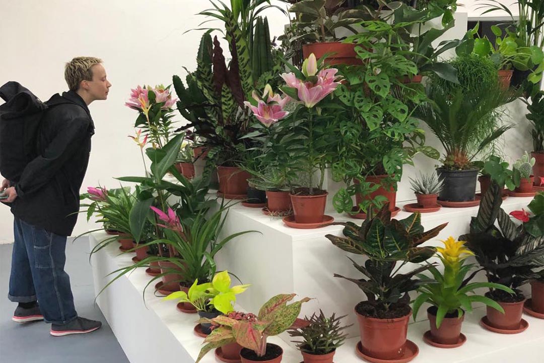 queer nature VI PER gallery Prague herbarium future architecture landscape architecture plants opening studio celine baumann Babylon Tower