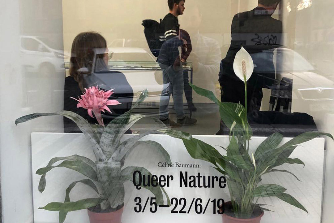 queer nature VI PER gallery Prague herbarium future architecture landscape architecture plants opening studio celine baumann