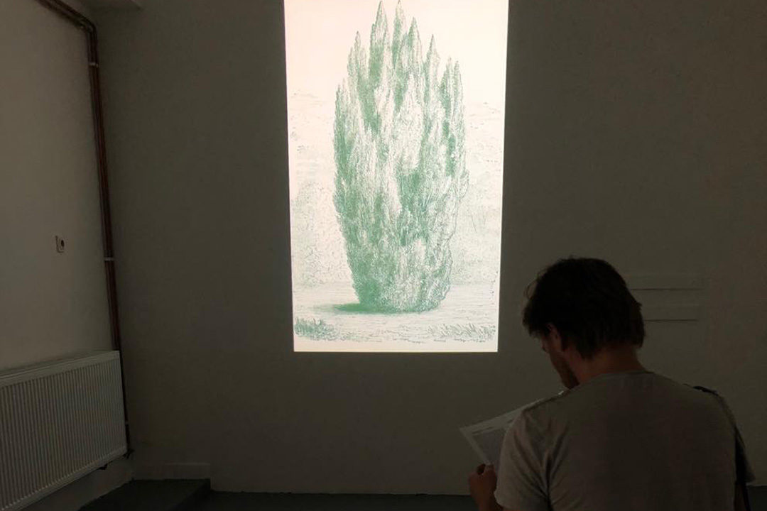 queer nature VI PER gallery Prague herbarium future architecture landscape architecture plants opening studio celine baumann