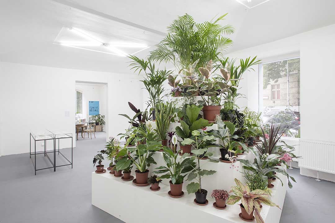 celine baumann_viper_030_1080 queer nature VI PER gallery Prague herbarium future architecture landscape architecture plants opening studio celine baumann babylon tower secret life of plants dry garden Czech Republic palm pyramid post anthropocene non-human