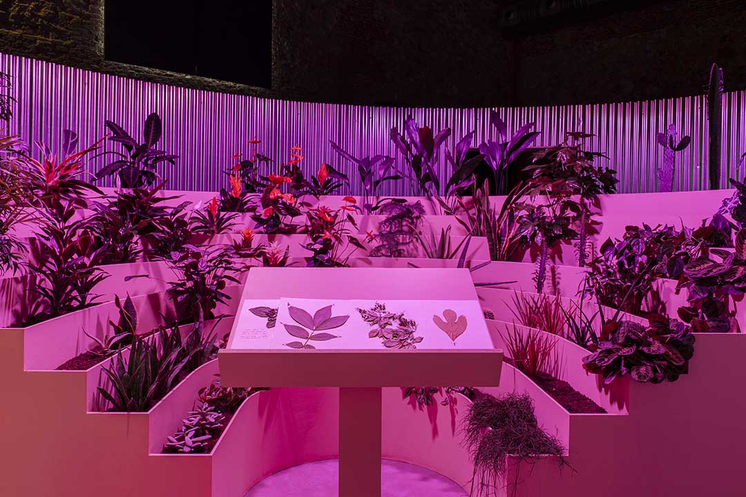 Matadero Doce fábulas urbanas twelve cautionary urban tales Madrid Ethel Baraona Pohl César Reyes Taller de Casquería Naranjo-Etxeberría Superstudio parliament of plants