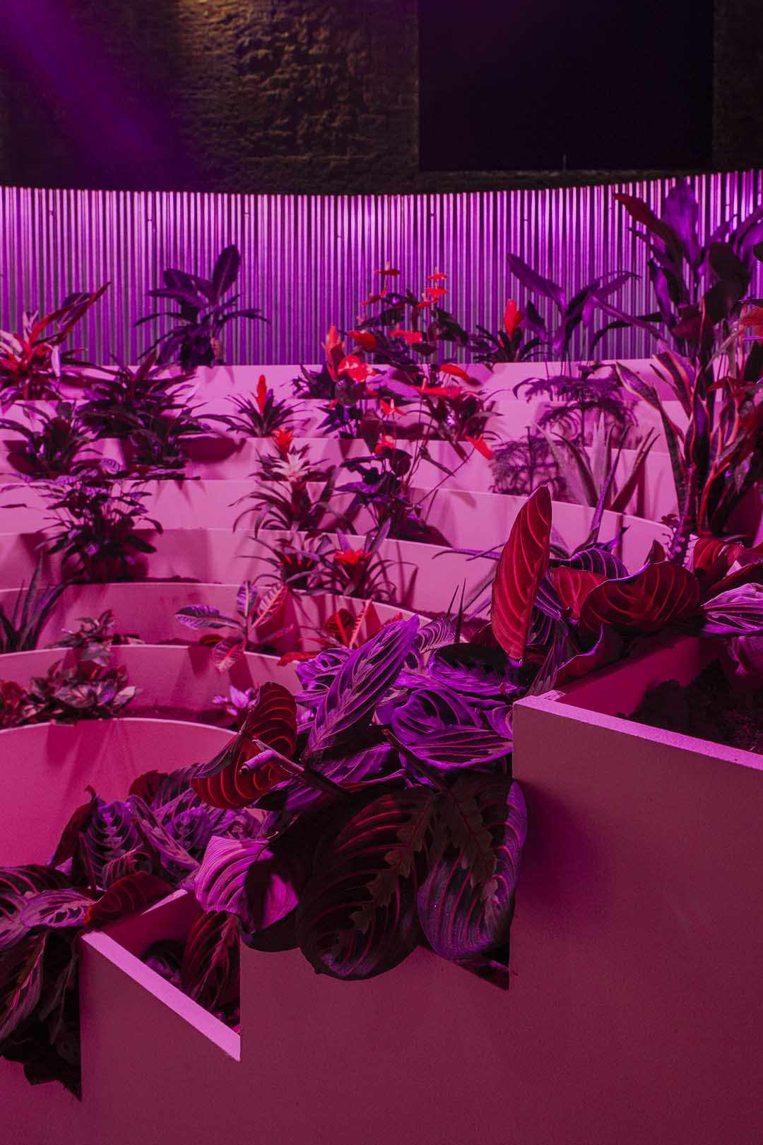 Matadero Doce fábulas urbanas twelve cautionary urban tales Madrid Ethel Baraona Pohl César Reyes Taller de Casquería Naranjo-Etxeberría Superstudio parliament of plants