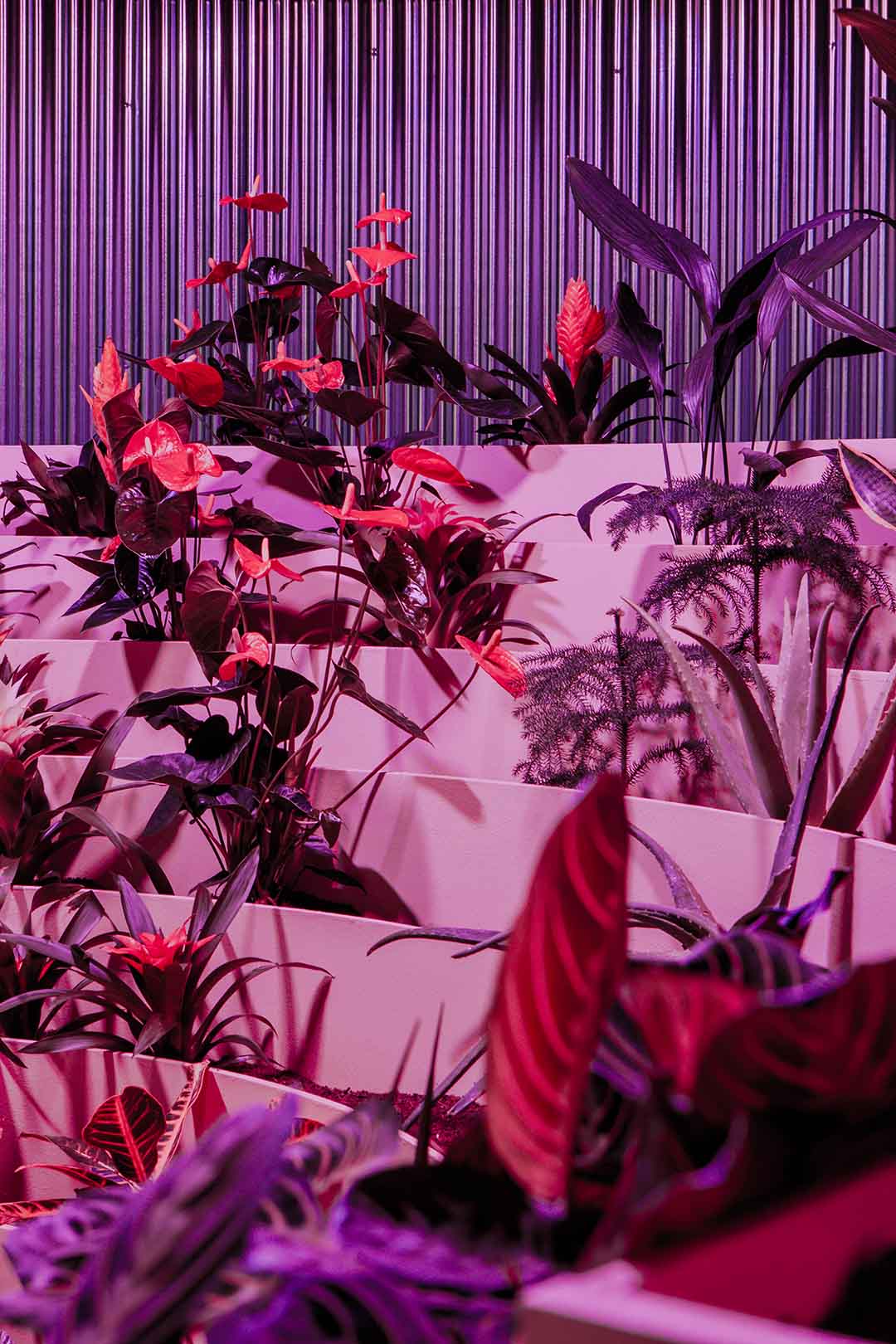 Matadero Doce fábulas urbanas twelve cautionary urban tales Madrid Ethel Baraona Pohl César Reyes Taller de Casquería Naranjo-Etxeberría Superstudio parliament of plants