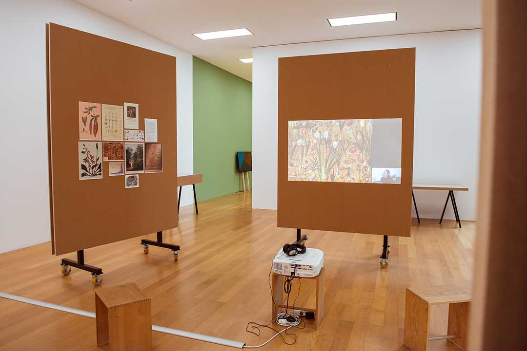 Parlament der Pflanzen Kunstmuseum Liechtenstein