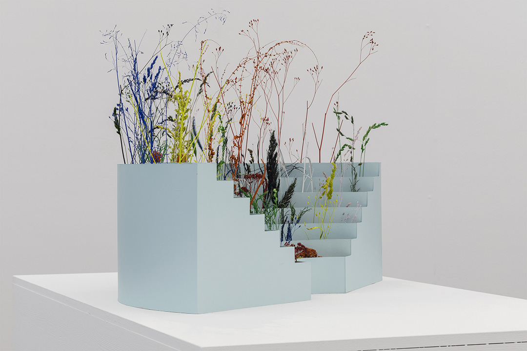 celine_baumann_saa_002_1080 Swiss Art Awards 2021 Parliament of Plants