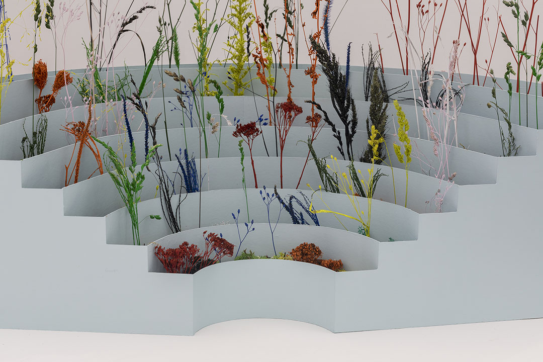 celine_baumann_saa_003_1080 Swiss Art Awards 2021 Parliament of Plants