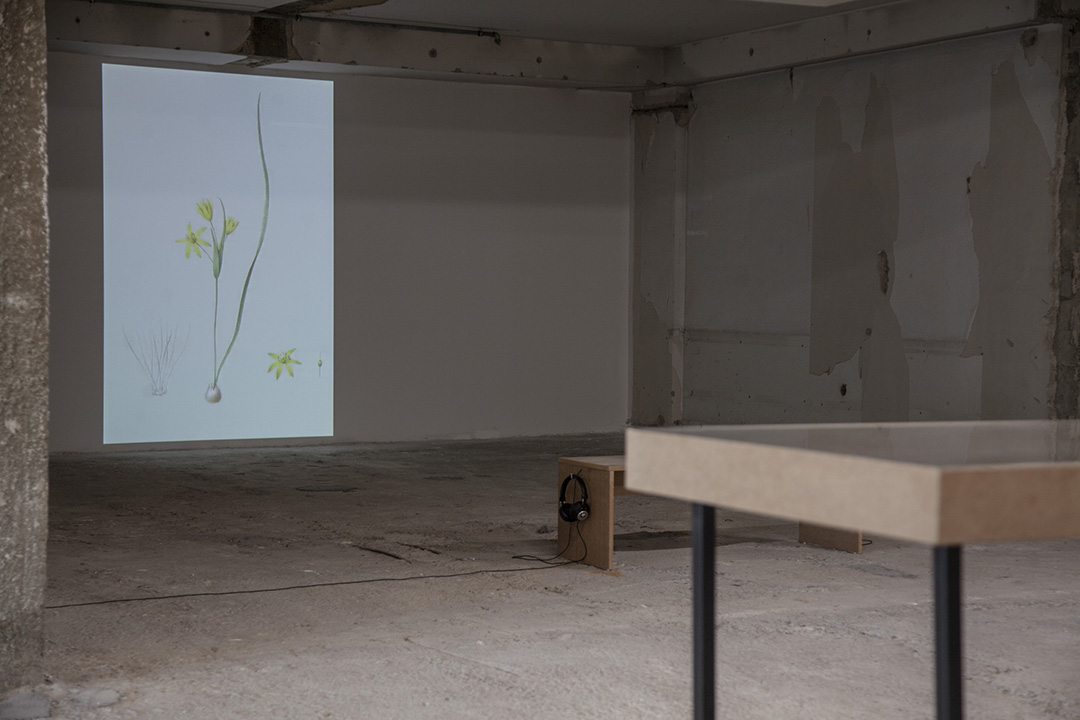 celine baumann_manifesta 14_002_1080