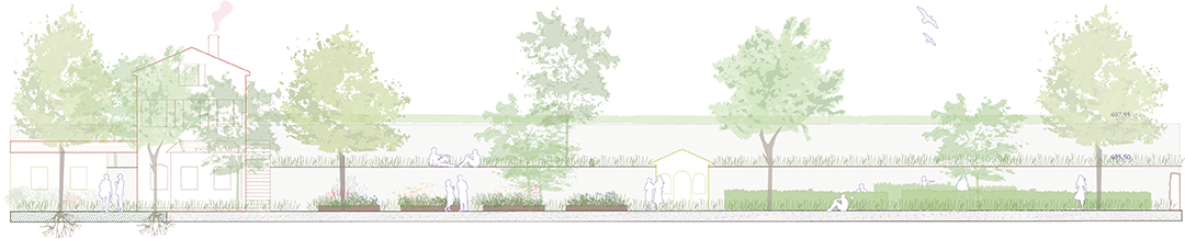 231101_Ornamenta plan_long section_cb_v2023